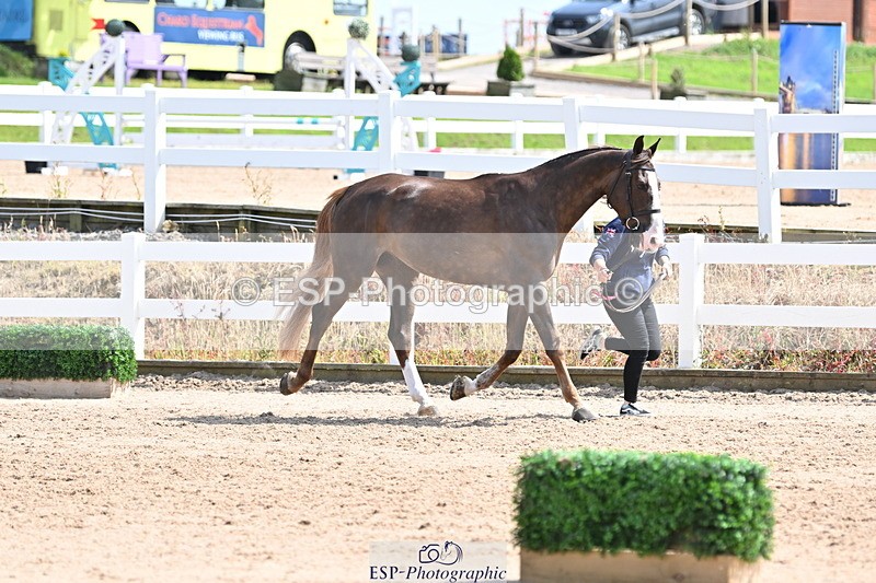 240717A-151412-02663 - Trot Up 3pm to 4pm