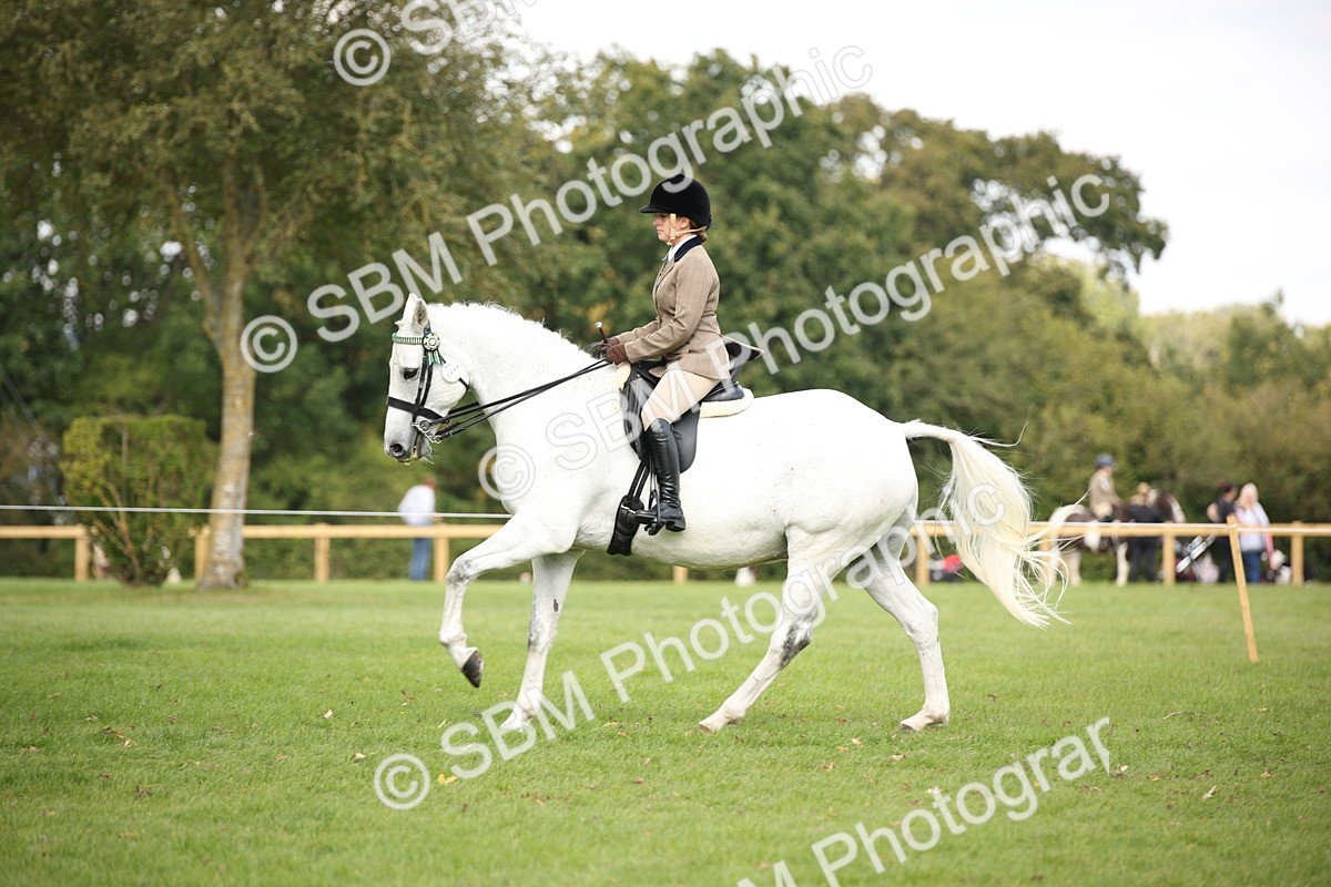 SBM_65944 - S64 - Riding Horse & Hack & Thoroughbred Ridden
