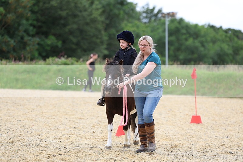 3E7A9468 - Walk trot run