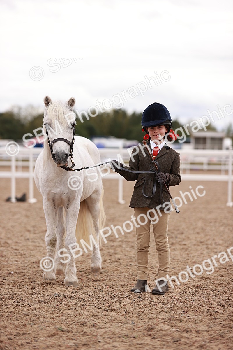 SBM_18568 - Class 421 - Childs Best Friend - Jnr
