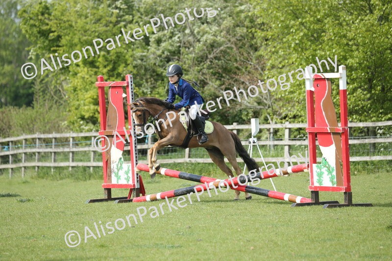 20260426-1567 - Class 14 - Novice 60cm