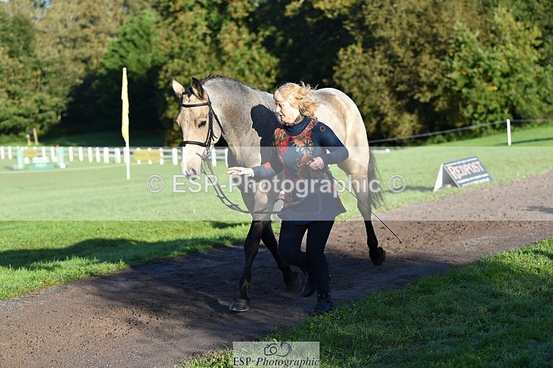 231022-093536-21901 - 471-LISCARROW.SHILOH-Justine.Walker-TrotUp+SJ