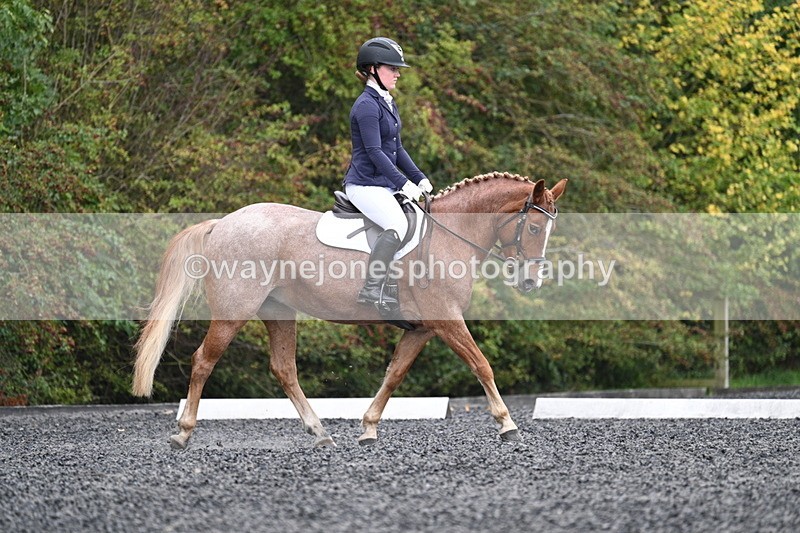 WJ7_3315 - Time 09:54 to 10:54