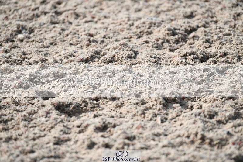 250309-134053-04579 - Cls 27-29 Club and Schools 1m and 1.10m