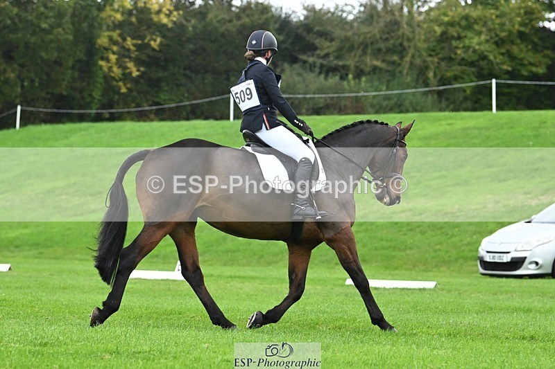 241024-114319-03298 - 509-Tichy.Sanders-SPARHANGER.VELVET