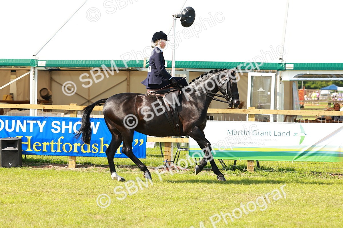 SBM_13139 - Class 70-71 - Side Saddle