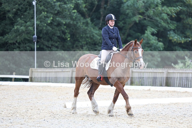 3E7A7972 - Class 1: Intro 3 2024 section A