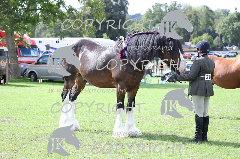 APP_3259 - Class 4 Veterans