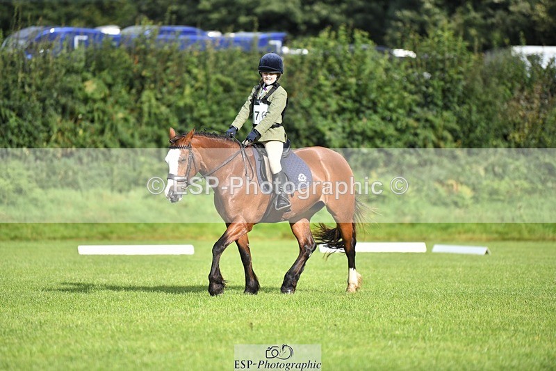 230826-090302-15011 - Sections C & D 9 to 10am