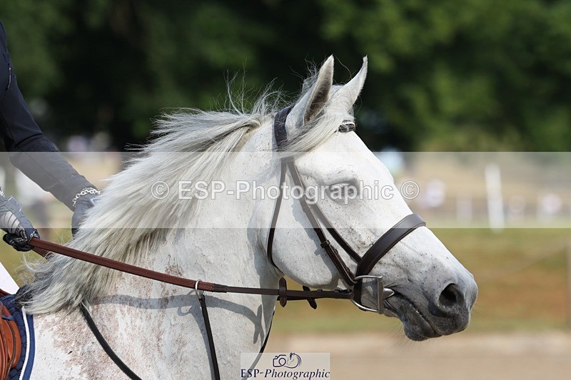 230617-082852-00239 - Cls 08a Pony 1.05