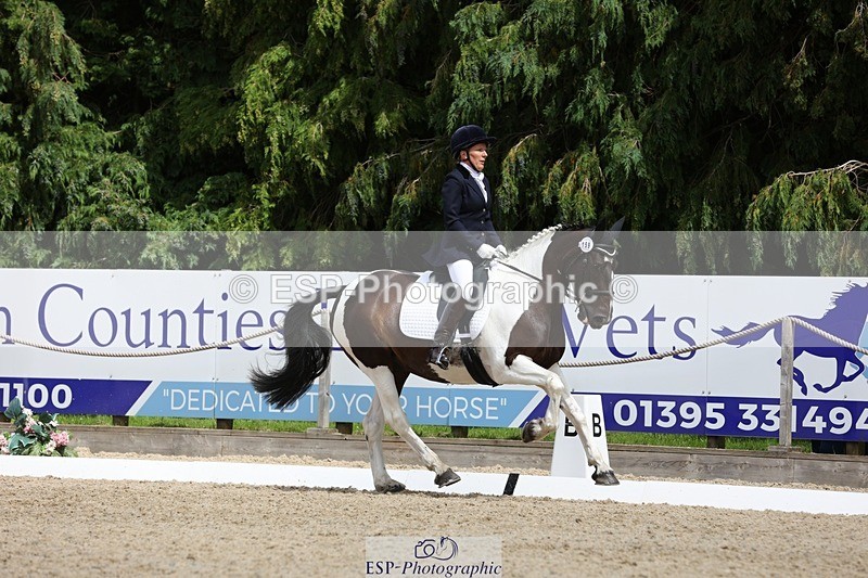 230812-140455-04377 - Cls 5 Novice Bronze 13.40 to 14.45 break