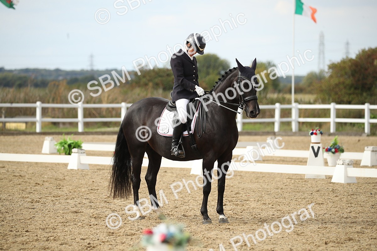 SBM_003436 - Class 6 - Elementary 5 - 16.10-16.43