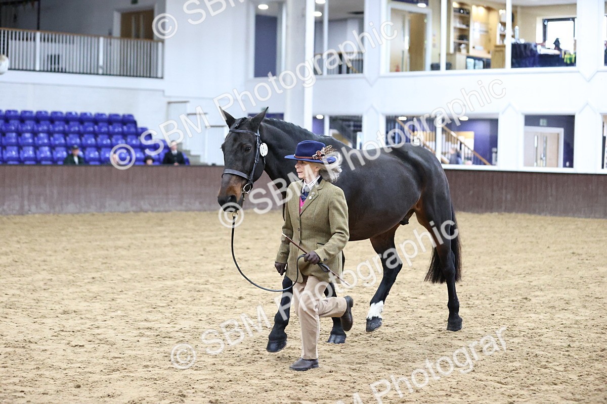 SBM_5639 - Class 40 - RESS In Hand Qualifier