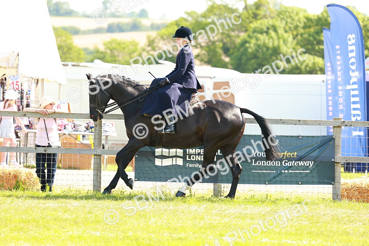 SBM_13165 - Class 70-71 - Side Saddle