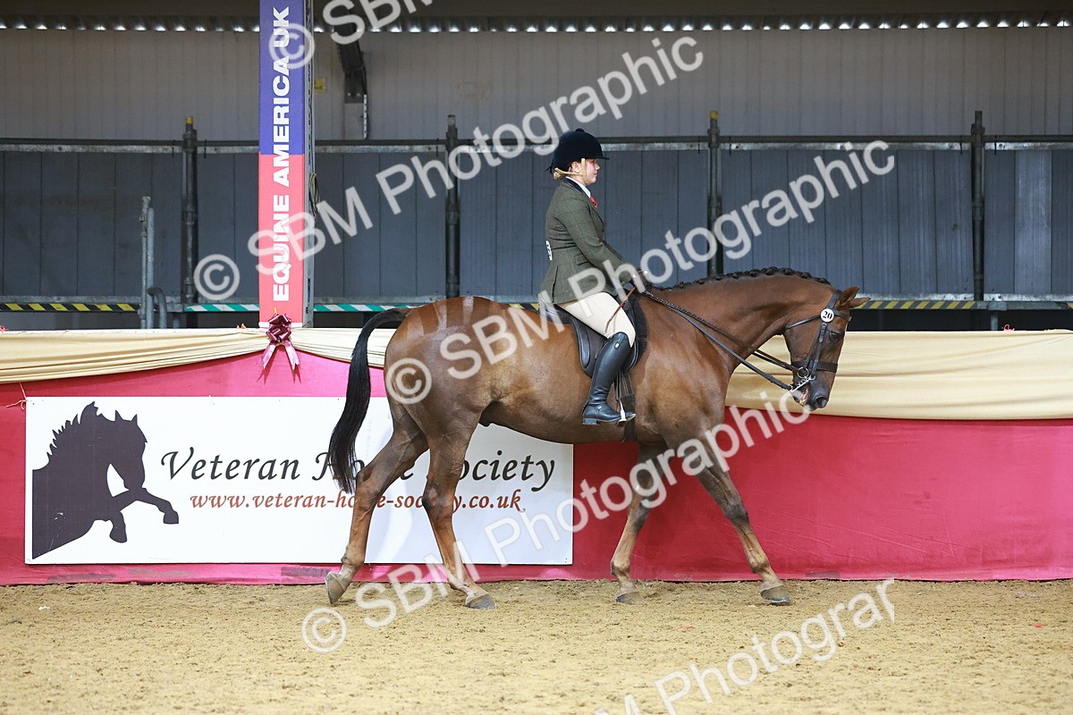 SBM_09598 - Class 102 - HOYS Veteran Qualifier - Ridden Veteran