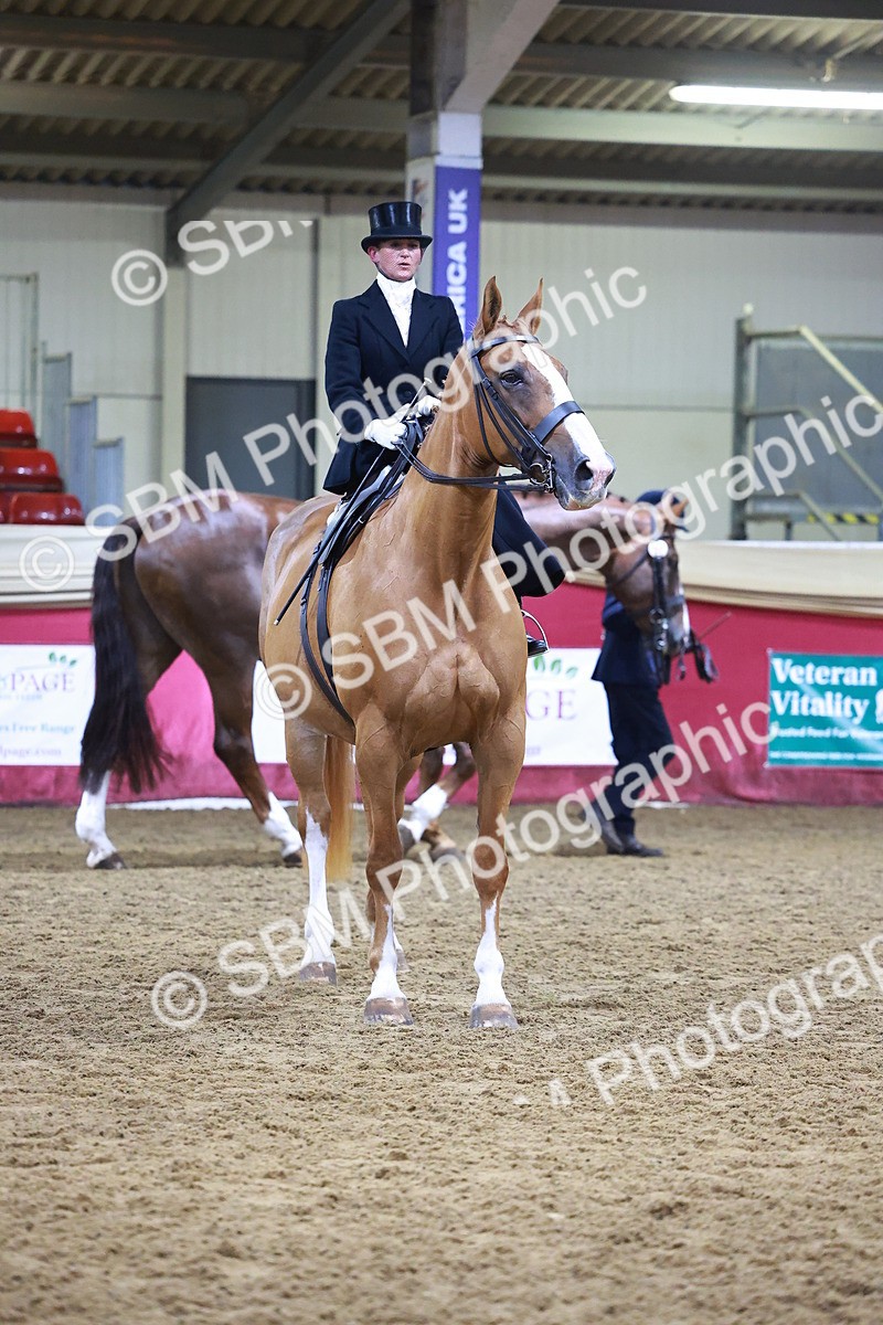 SBM_14724 - Class J - Foreign Breeds Champ