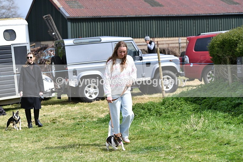 WJ5_0428 - Class 7 Best Terrier