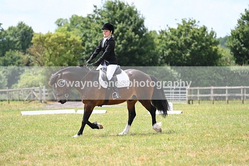 WJ7_5630 - Time 11:52 to 12:10