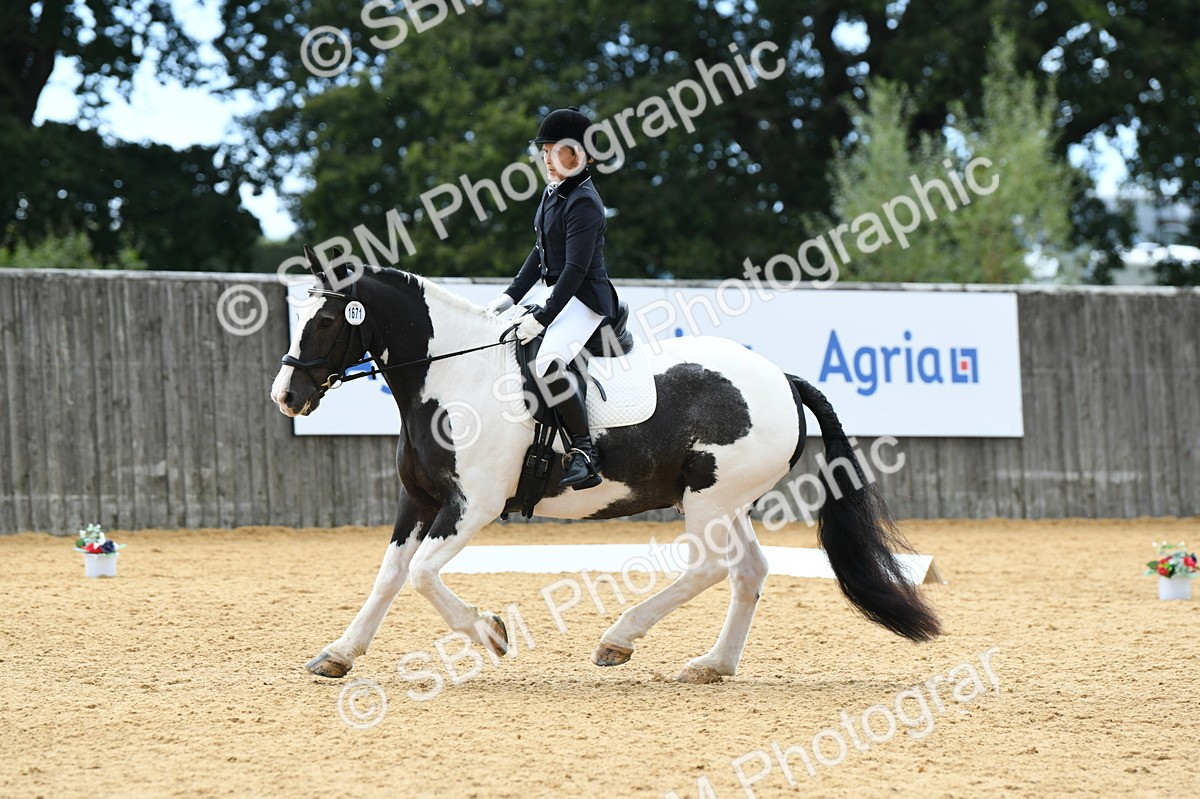 SBM_07332 - D15 Small Tour Championship Novice 24