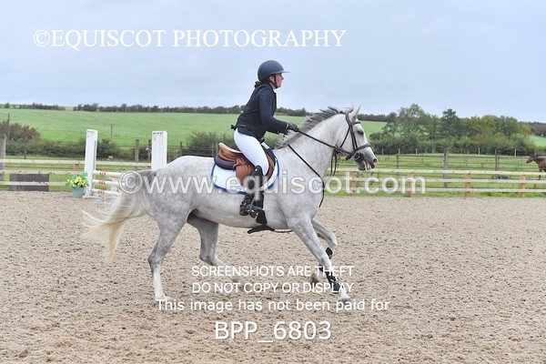 BPP_6803 - CLASS 1 Club/ Unaffiliated 80cms Open