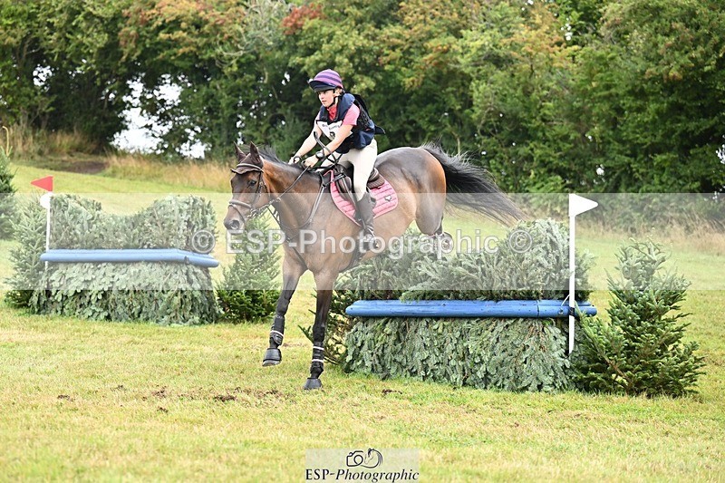 TS_b2861824 - SAT BE 90 Recovered Files fence 8