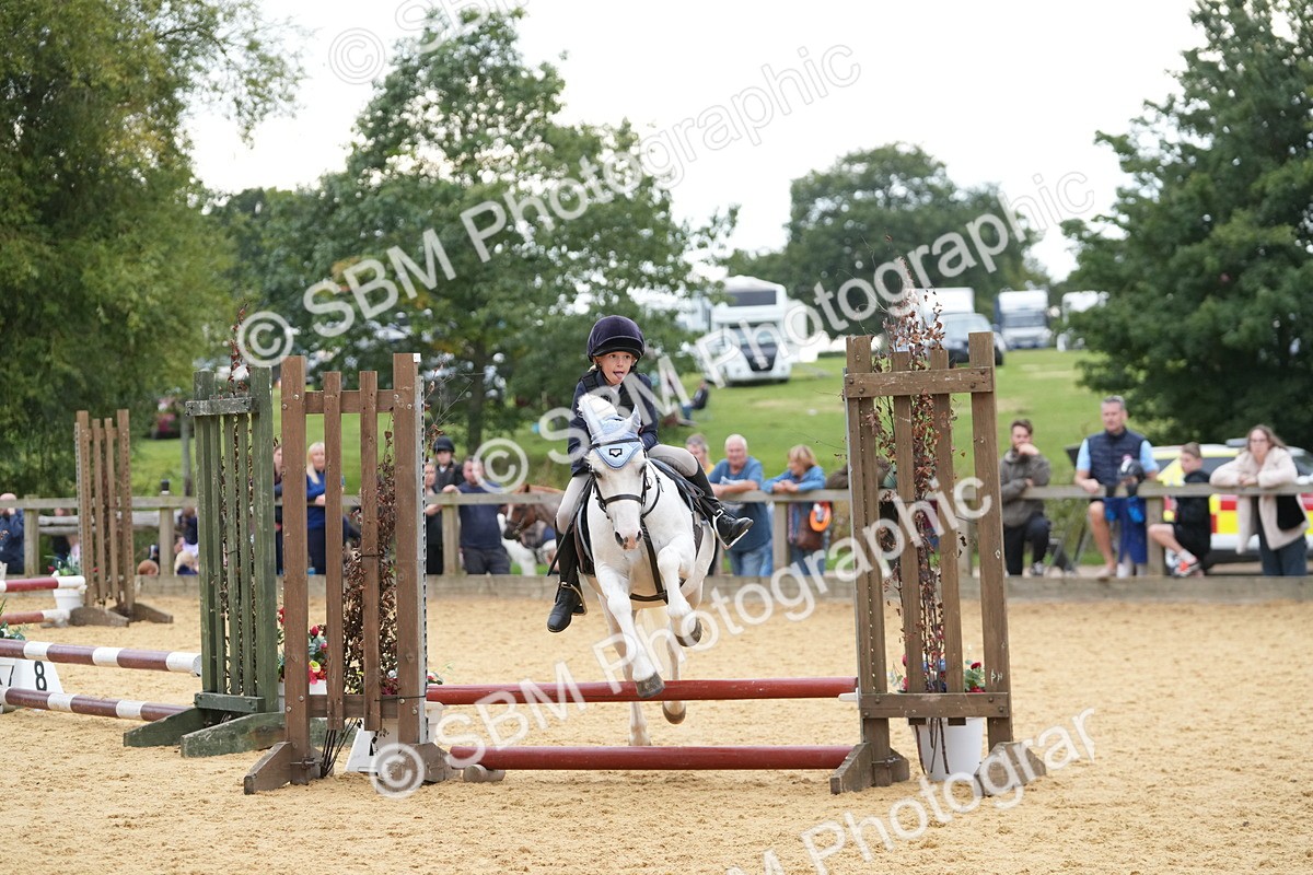 SBM_74595 - J4 - Mini Tour Junior Pony 45cm Championship