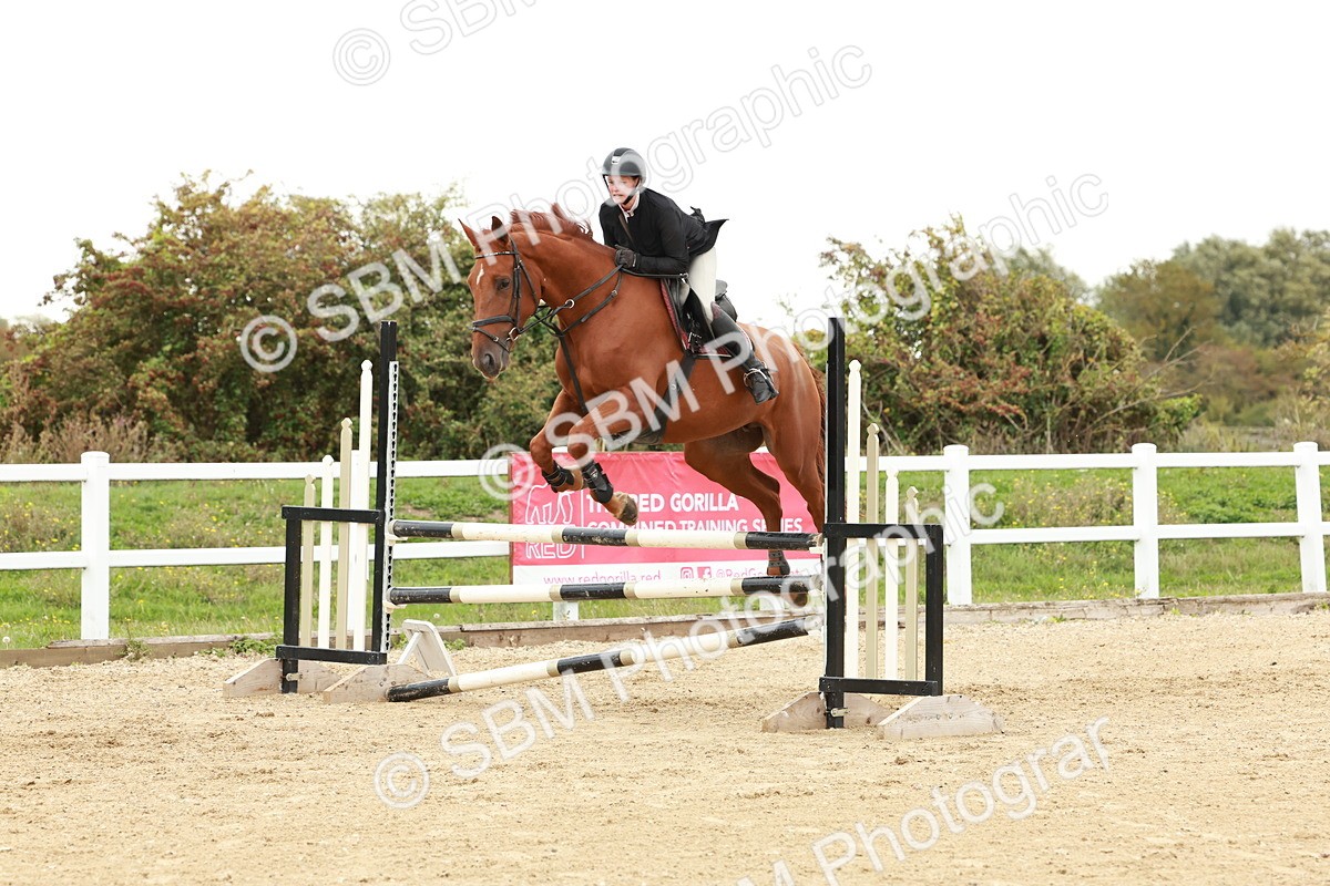 1I0A7133 - Class 2 - Senior British Novice