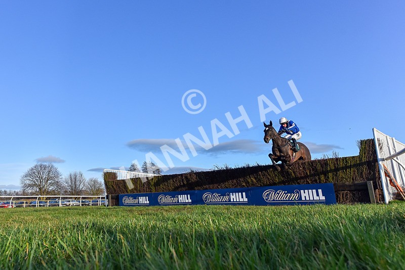 250225-Race 5-Sean Og-0791 - Race 5