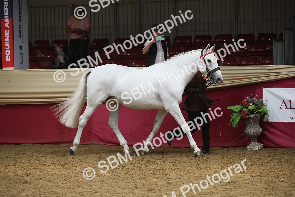 SBM_05485 - Class 9R - Regional IH Pre-Vet
