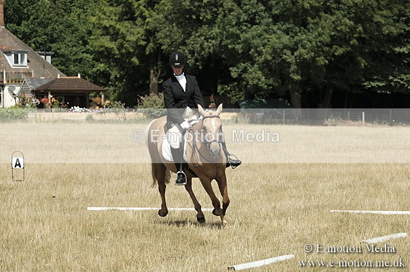 _PJP5813 - Dressage Classes BVRC Show 2018