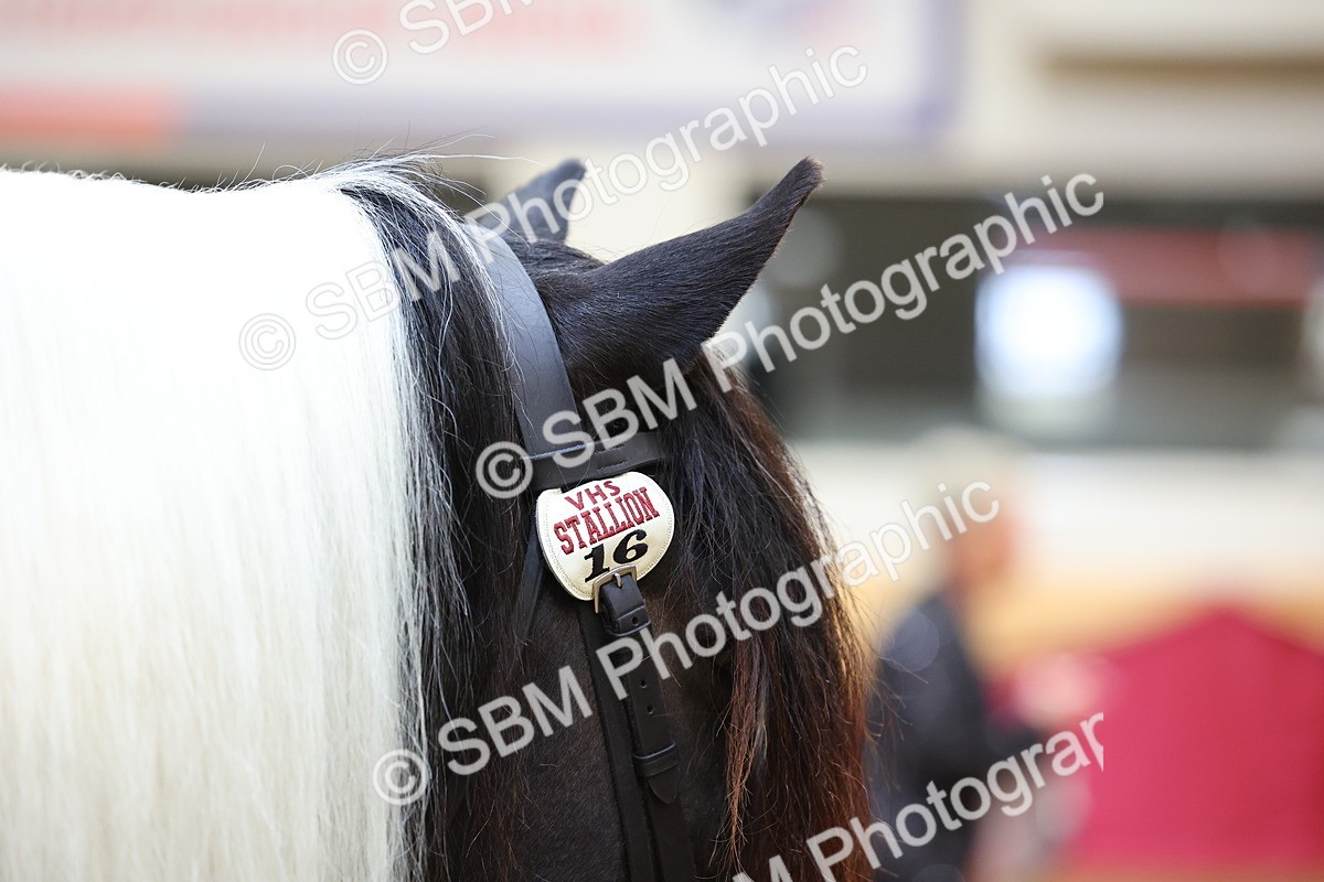 SBM_22751 - Class 903 - Supreme Final - IH Pre Vet