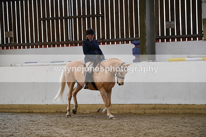 WJ5_6132 - Class 9 Ridden Veteran