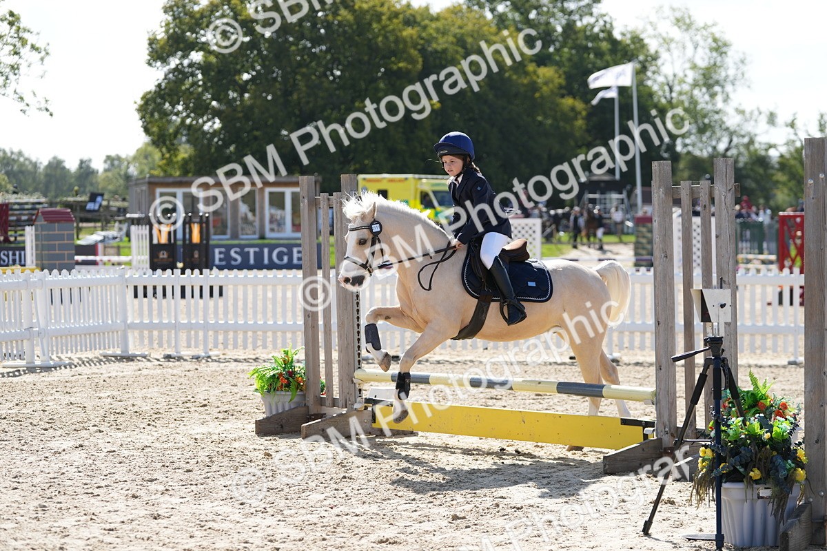 SBM_17956 - J58 - Clear Round 50cm