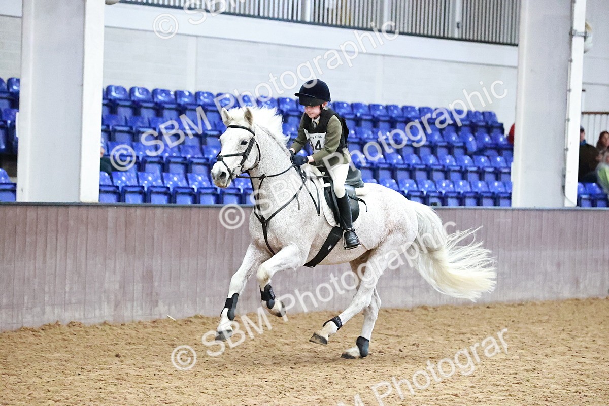 SBM_000572 - Class 2 - Show Jumping 50cm