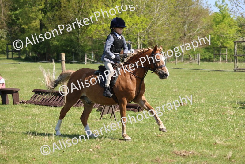 20250427-2420 - Class 19 - Mini Working Hunter