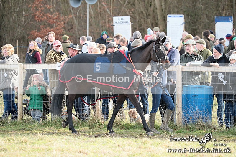 PtP 220225 436 - Kimblewick Point-to-Point  Kingston Blount 22/02/25