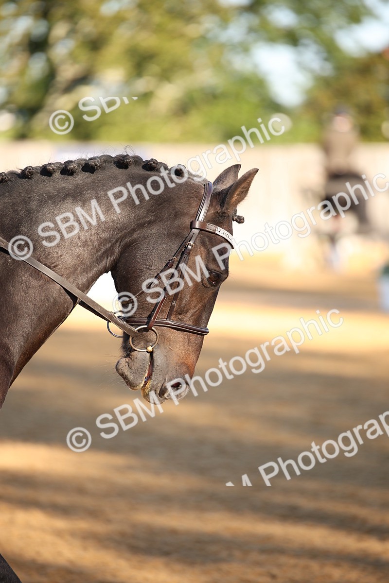 SBM_14650 - D31 - Grand Tour - PYO Open