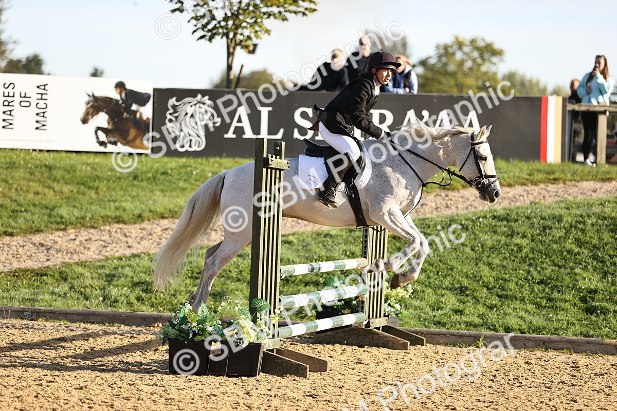 SBM_33180_J38 - Senior 80cm Championship - Michaela