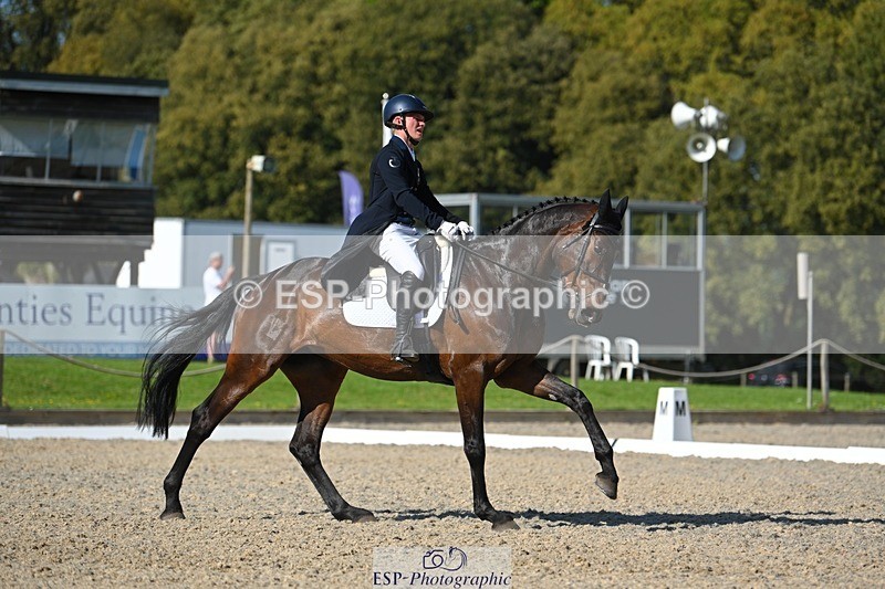 230526-172004-07572 - 262-TREAMBLE-Finn_Healy-WEDTrotUp+DR