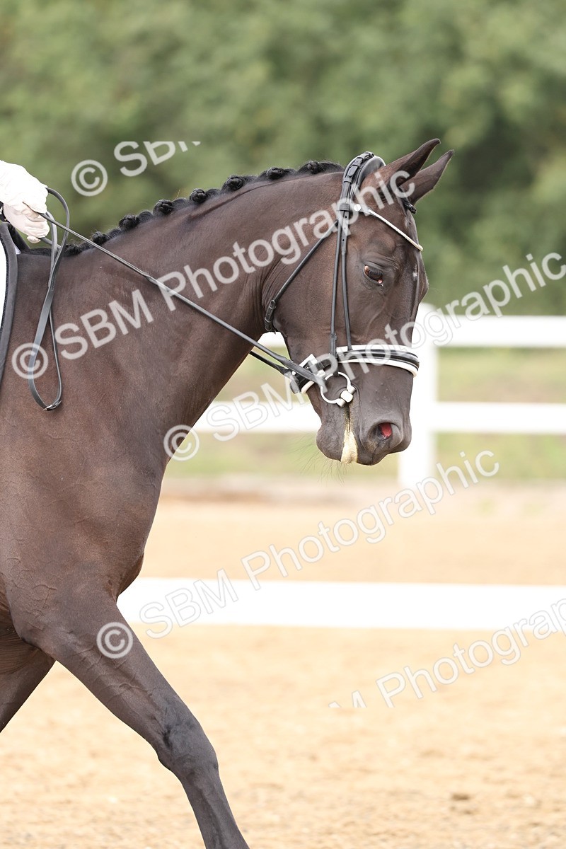 SBM_006283 - Class 6 - novice 6 - 11.50-12.46