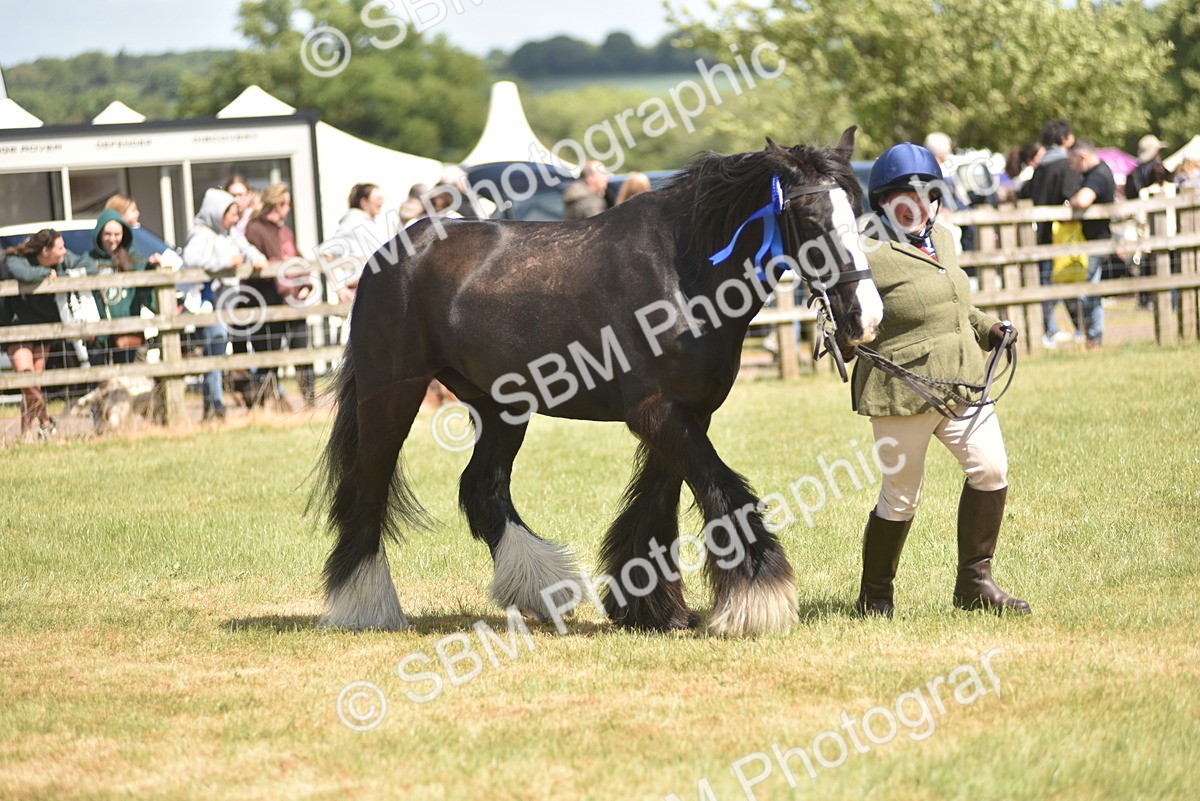 SBM_16113 - Class 117-122 - SSADL RIHS Qualifier