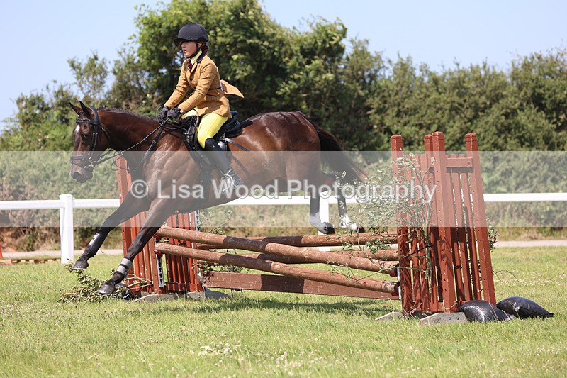 JPP_3071 - Class 22: Working Hunter 70cm