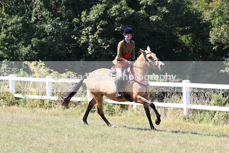 3E7A6485 - Working Hunter Championship