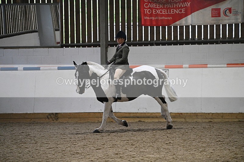 WJ7_4059 - Class 17 Ridden Cob