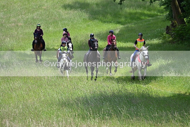 WJ7_8753 - Group 4 11am