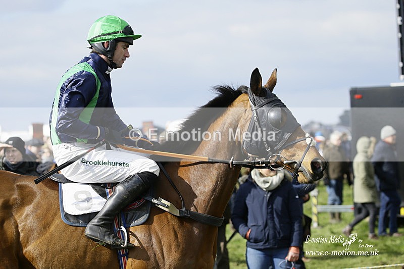 PtP 060322 233 - Blackmore & Sparkford Vale Hunt PtP 06/03/22