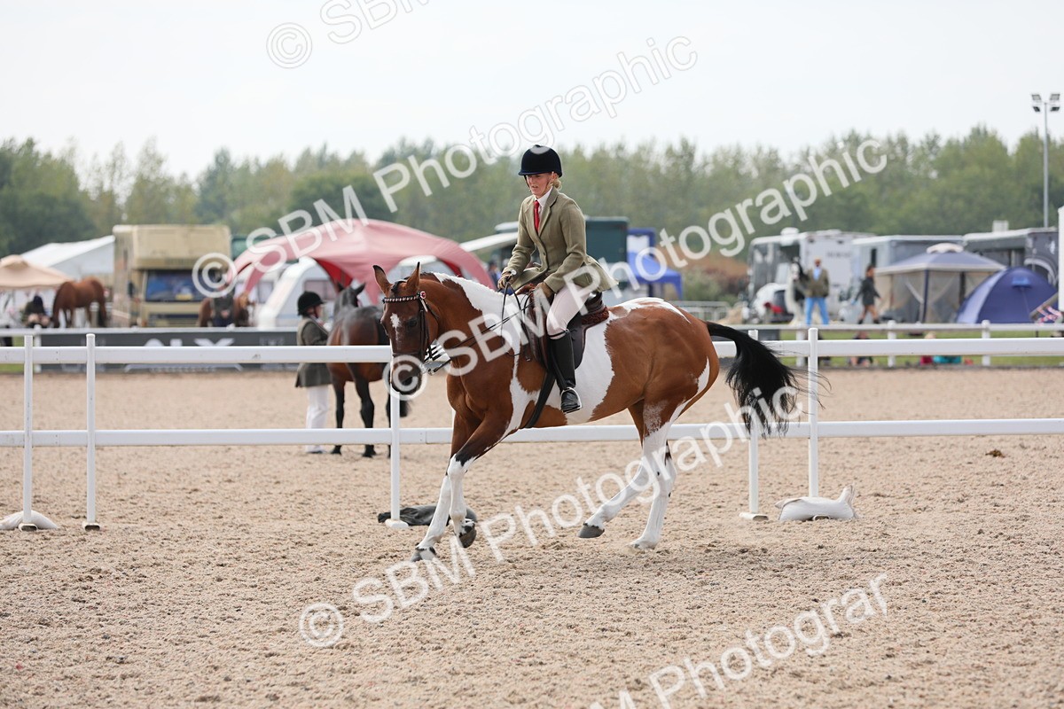 SBM_13427 - Class 308 Ridden Coloured Horse
