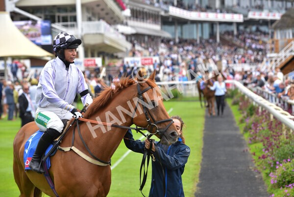 yr24072021r1-40 - Race 1 2.05pm Sky Bet Jump Jockeys Nunthorpe