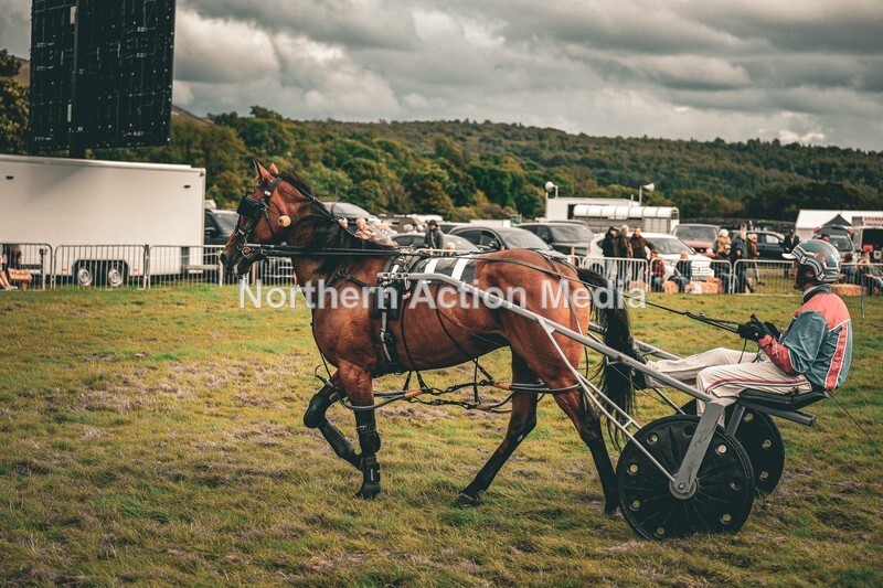 DSCF7456 - Kilnsey Harness racing