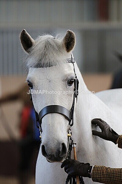 SIAL0414 - Indoor Classes